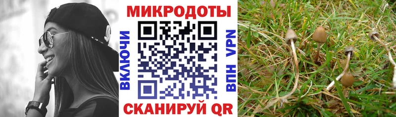 MEGA сайт  Калининец  Галлюциногенные грибы Cubensis 